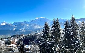 Large Apt 80M Superb View Mont-Blanc 6P