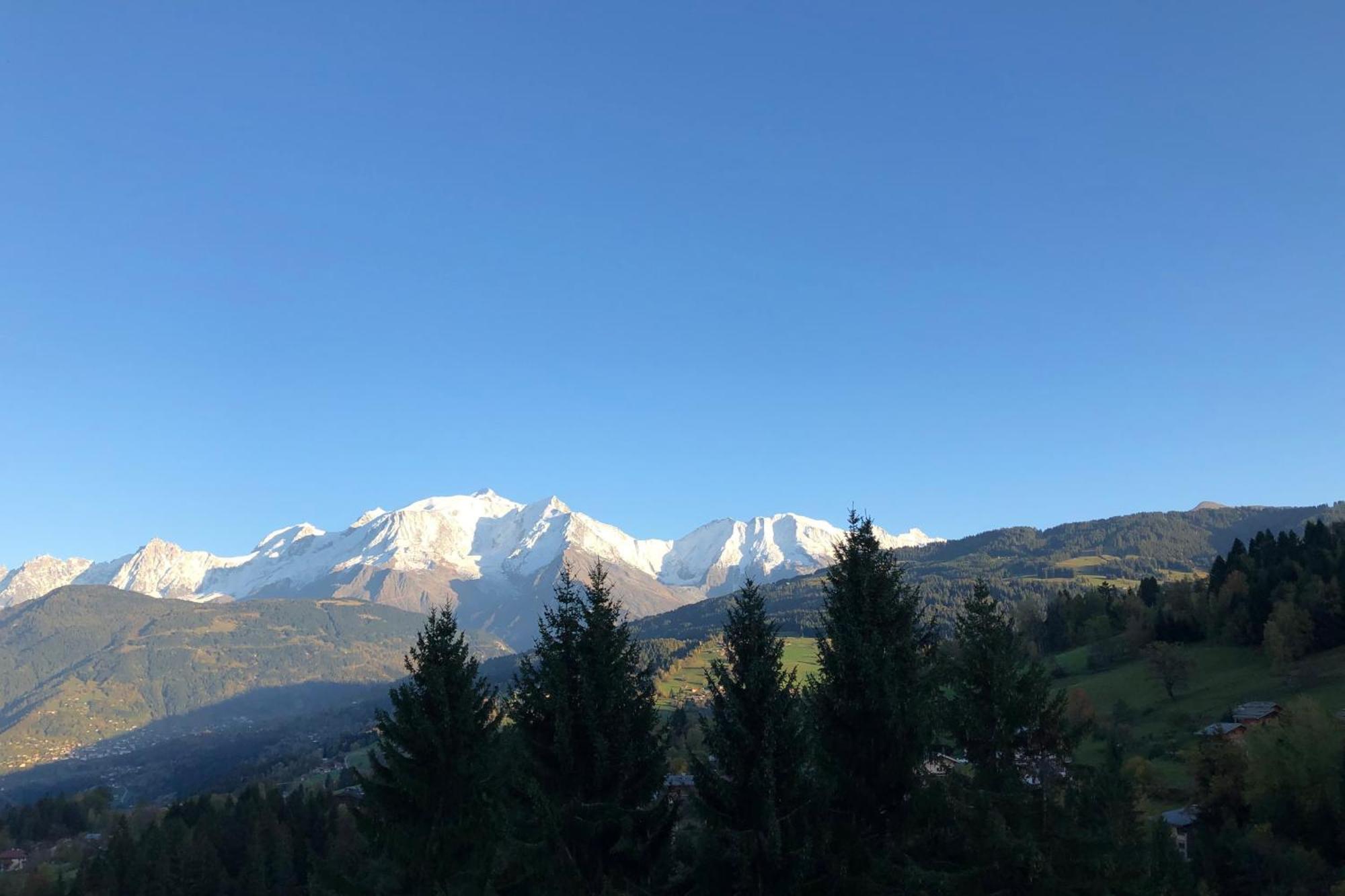 Appartement Large Apt 80M Superb View Mont-Blanc 6P à Combloux Extérieur photo