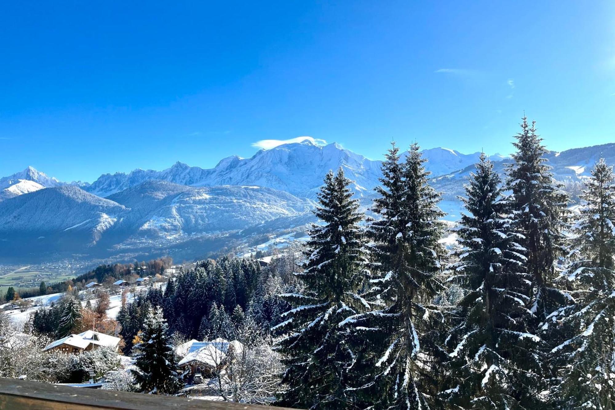 Appartement Large Apt 80M Superb View Mont-Blanc 6P à Combloux Extérieur photo